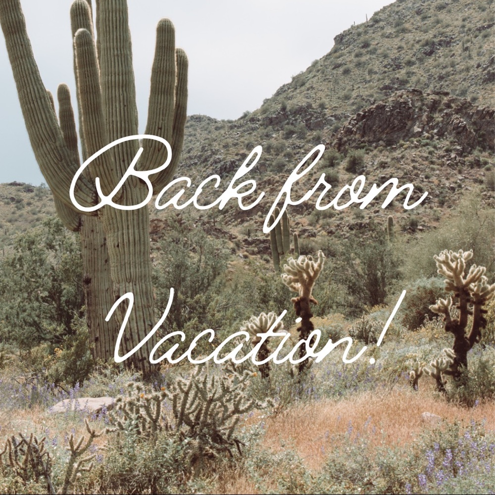 I'm back!